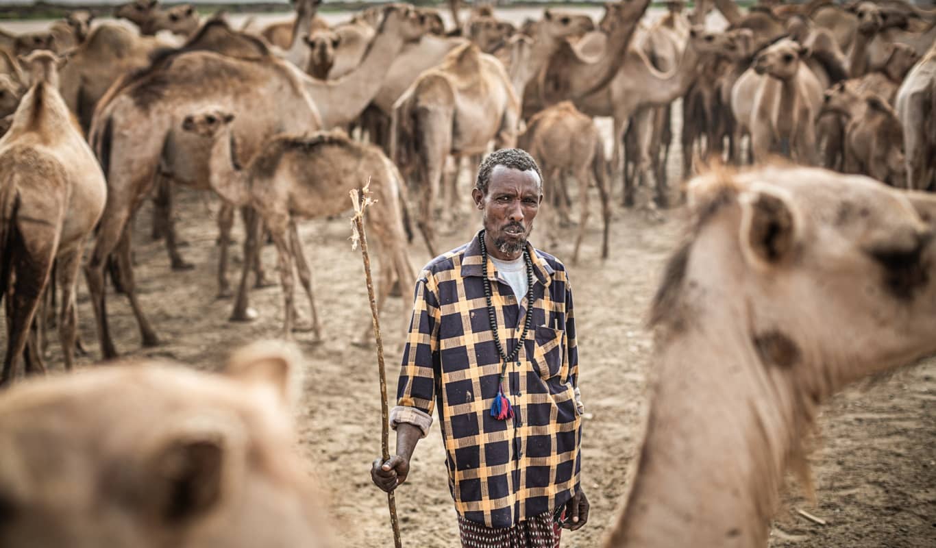 One person dying from hunger every 48 seconds in drought-ravaged East Africa as world fails warnings